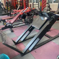 هاگ پا طرح دی اچ زد