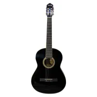 تدریس گیتار