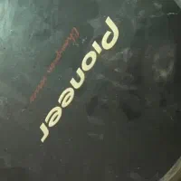 پایونیر 310