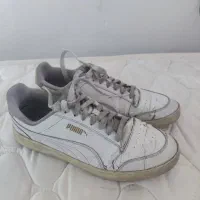 کفش راحتی پوما سایز ۴۴ و ۴۳