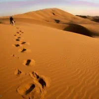 تور جذاب کویر کاراکال و یزد گردی|تور و چارتر|تهران, پاسداران|دیوار