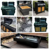 انواع باربیکیو زغالی/ کف چدن/فن خور/