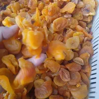 قیسی برای ترشک