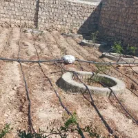 لوله کشی   آب