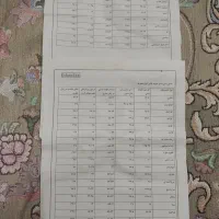 دستگاه جوجه کشی ایزی باتور6