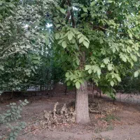 بهشت پنهان در 30 کیلومتری قم کرمجگان|فروش خانه و ویلا|قم, حمام تالار|دیوار