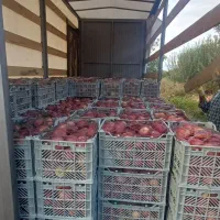 حمل نقل بار و اثاث منزل|خدمات حمل و نقل|میاندوآب, |دیوار