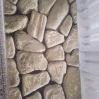 پادری