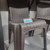 فضا باغی