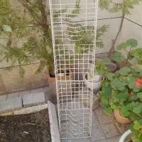 ابچکان