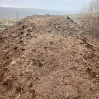 کود|لوازم جانبی حیوانات|امام, |دیوار