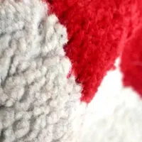 دو عدد فرش چهارمتری|فرش|چمستان, |دیوار