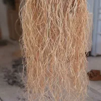 لوستر عروس دریایی|لوستر و چراغ آویز|قم, شهرک امام حسن|دیوار