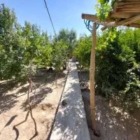 خونه-باغ-مهریز