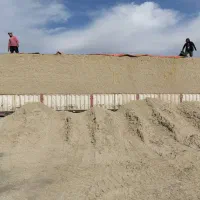 باگاس نیشکر|خدمات پیشه و مهارت|شهرضا, |دیوار