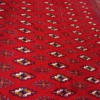 فرش ترکمن|فرش|مشهد, سرافرازان|دیوار
