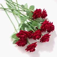 شاخه گل رز مخمل عمده کارتن ۵۰ تایی و ۱۰۰تایی