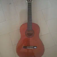 گیتار ولنسیا cg160