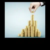 درخواست سرمایه