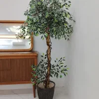 گالری بهشت (تولید درختچه مصنوعی)