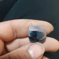نگین شجر