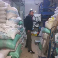 برنج طارم محلی فریدونکنار