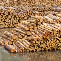 خریدار چوب های شما