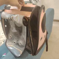 کیف رودوشی حمل سگ و گربه|لوازم جانبی حیوانات|آستارا, |دیوار