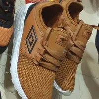 400 عدد کفش umbro|کیف، کفش، کمربند|مریوان, |دیوار
