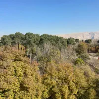 رهن و اجاره مغازه ( تاپ ) ستارخان