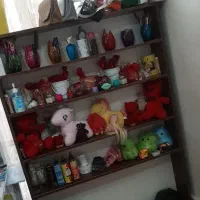 رگال بزرگ و قفسه ام دی اف