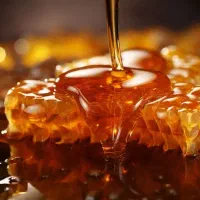 عسل طالقان نمونه