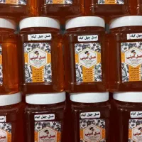 عسل چهل گیاه بهاری درجه ۱ به قیمت عمده