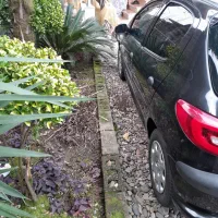 فروش ماشین|خودرو سواری و وانت|آستانه اشرفیه, |دیوار