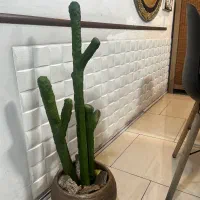 گلدان مصنوعی کاکتوس