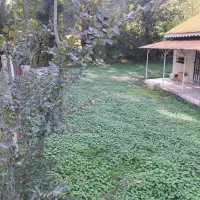 ۷۰۰متر زمین ۸۰ متر بنا ییلاقی جای عالی و زیبا