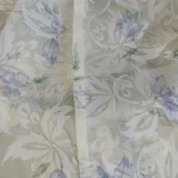 چادر حریر عروس|لباس|شیراز, طلاب|دیوار