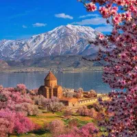 تور گروهی وان همه روزه اقساطی