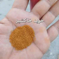خاکشیر به قیمت روز