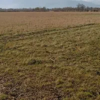 فروش مزرعه سنتی