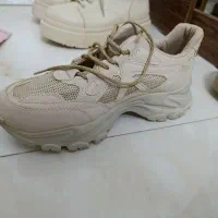 همه کاملا نو هستن