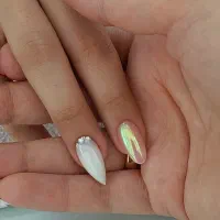 جذب مدل ناخنکاری ظرفیت محدود