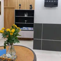 کلینیک لیزر موهای زاید لیزر کندلا آمریکایی