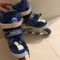 اسکیت حرفه ایی