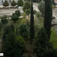 راهنمایی کنید برای باغ