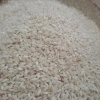 برنج عنبربو