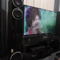 اسپیکر میکرولب پالادیوم