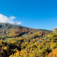 زمین فروشی روستای سنگسرک