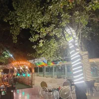صندق دار آشپز ترک پارکبان و سالن کار