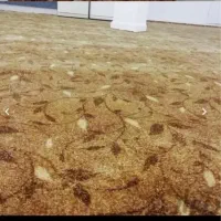 پالاز موکت پلاسا پرزبلند موکت مدرن|موکت|قم, شاه ابراهیم|دیوار